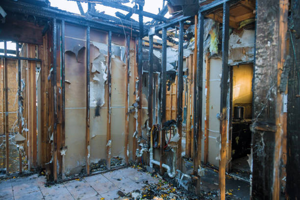 Professional Fire Damage Assessment technician working in Belleair Beach, FL